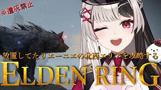 【 ELDENRING 】フロムゲー完全初見だけど遺灰無しでサブストーリーとか寄り道する.ᐟ.ᐟ【 エルデンリング 11.5日目 】【 姫守ほたる/るみぷろ 】#エルデンリング #新人vtuber