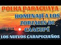 LOS NUEVOS CARAPEGUEÑOS HOMENAJE A LOS ZORZALES DE CAACUPÉ POLKA🇵🇾@TAIRO-MIX-DJ