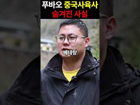 푸바오 중국사육사의 숨겨진 사실