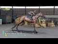 Garden decor large bronze racing horse and knight statue from factory supply