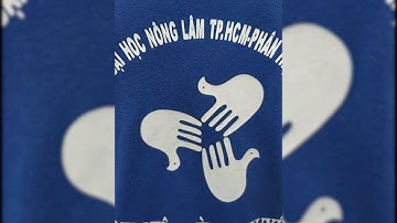 Công Tác Xã Hội trong Tim tôi | Kuro | MV (CTXH in My Heart)