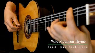 Yoo Sik Ro (노유식) plays "Wild Mountain Thyme" Scottish Folk