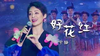 Video thumbnail of "宁静演唱民歌《好花红》大气动听，原生态气息扑面而来！[精选中文好歌] | 中国音乐电视 Music TV"