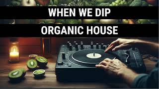 When We Dip Organic House Best New Extended Tracks 2024-04-11 Resimi