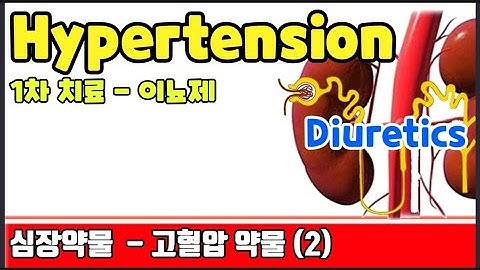 고혈압 1차약물 (이뇨제) ㆍ Diuretics