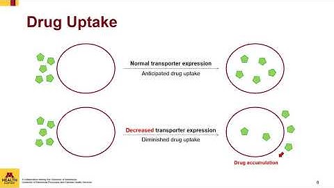 Introduction to Pharmacogenomics