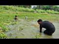 Net Fishing Video | Traditional Net Fishing in Village Pond | Fish Catching By Net