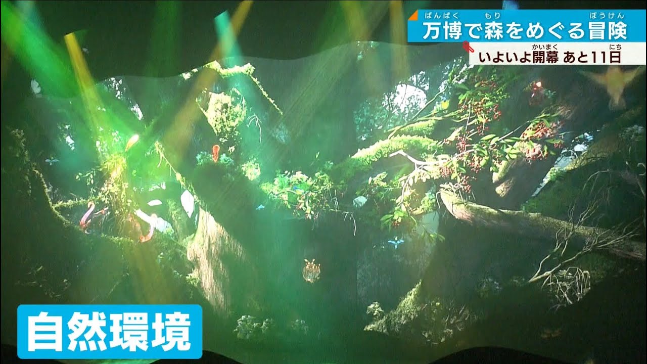 森をめぐる冒険＞霧や風を再現 ランタンが案内役…住友館で環境を考える