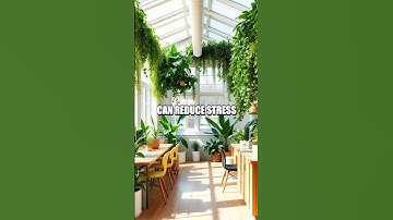 The Power of Biophilic Design in Workspaces