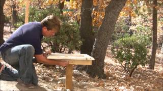 Platform Bird Feeder