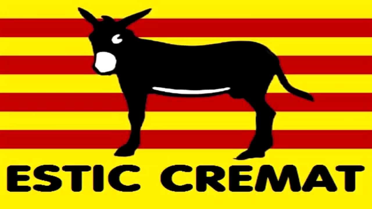 ESTIC CREMAT - EL PAGÈS EMPRENYAT