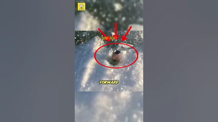 Bullet Spins on Ice... But Why? 🤔