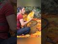 Harvest juicy gold fishes and goes to market sale #harvest #creativesurvival #fruit