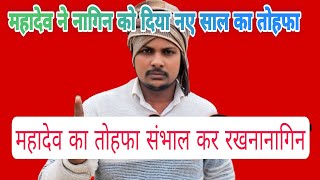 नगन परन सल क तहफ ल ल जत जत