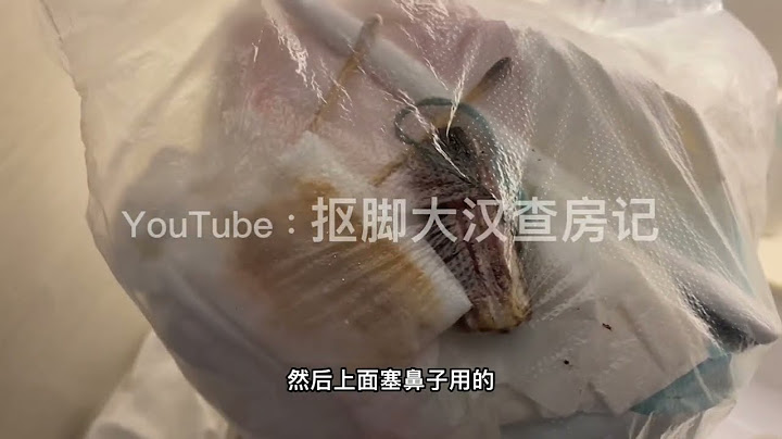 用衛生棉的女房客也是從業以來親眼見到最美的女房客，是心動啊 - 天天要聞