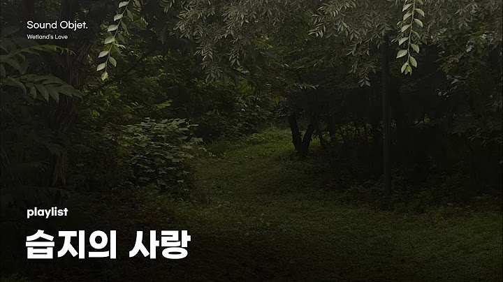 그들은 젖은 흙냄새에 파묻힌 채로 눈을 감았다, 가사 없는 플레이리스트