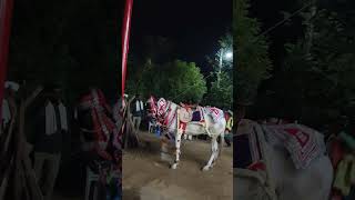 Super dance amazing video Super dance amazing video