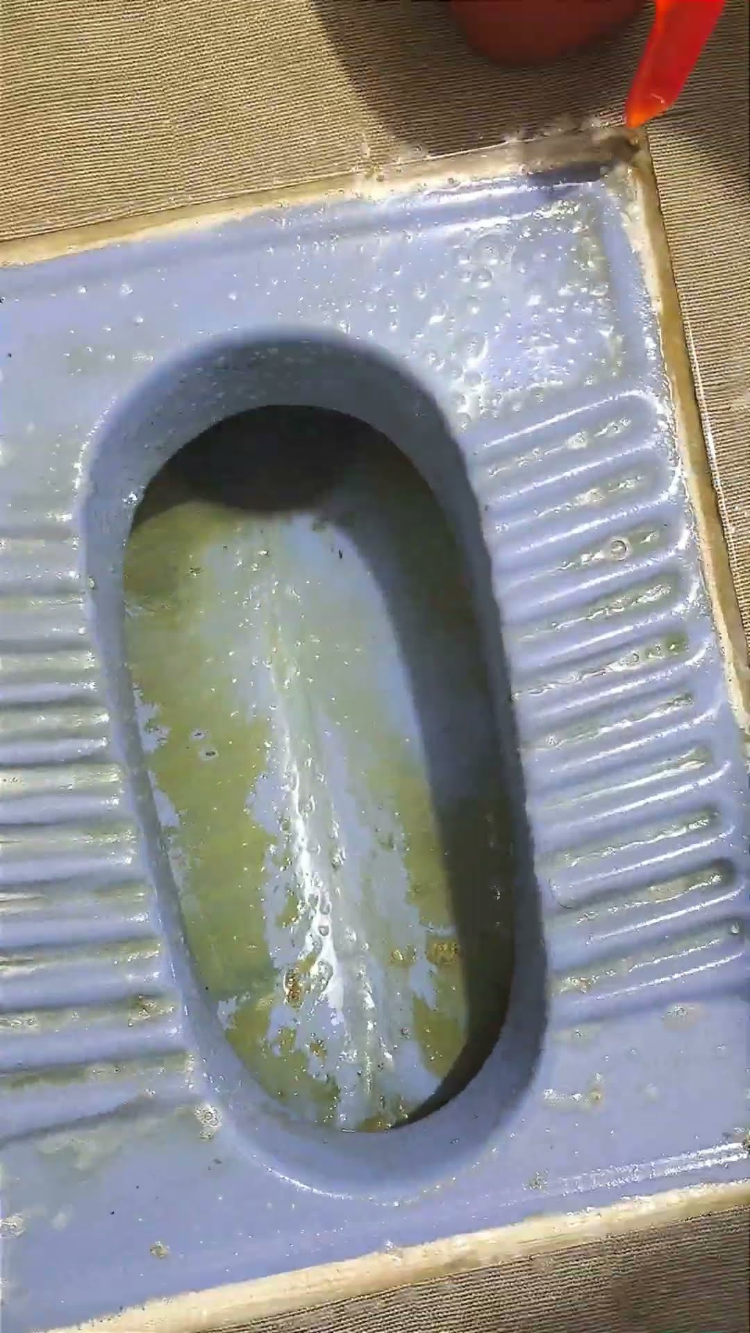 🎶இன்றைய ட்ரெண்டிங் பாடல்💃 - ShareChat