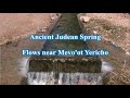 Ancient Judean Spring