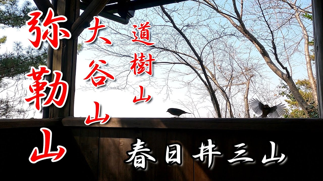 愛知県春日井市　春日井三山を登りました。#弥勒山#道樹山#春日井三山