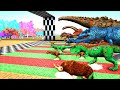 ARK 1 ALL CREATURES RACE | ARK&#39;S FINAL RACE