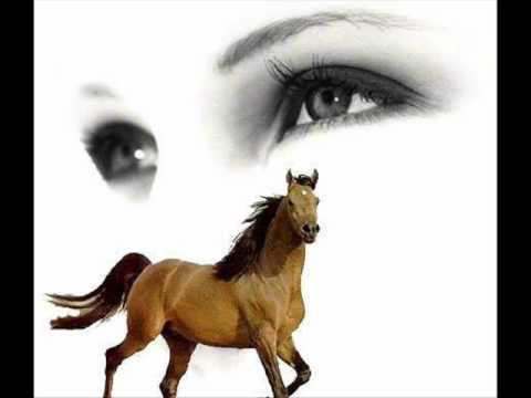 Mustapha Tiraka3 2011 Tekhsed Atreboheryad Bohri KhYemam By Simo 