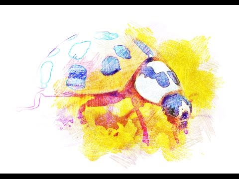 Realistic Colored Pencils Effect, an Action Add-On by Graphic Treasury (Thumbnail 2 of 2)