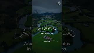 No matters are hidden from #Allah nor are secrets withheld from Him. He has knowledge of everything.