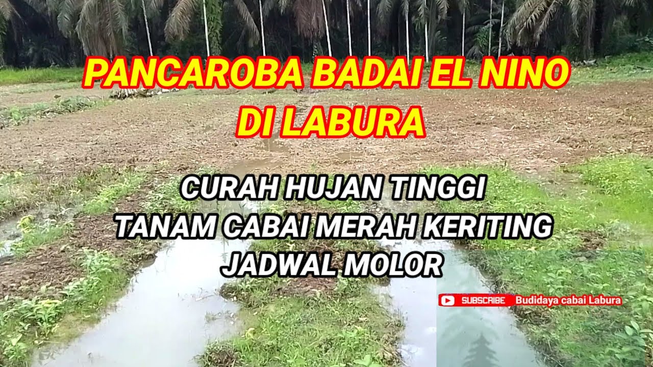 Pancaroba Badai El Nino Hujan Petir Di Kualuh Selatan cabailabura pancaroba-badai-el-nino-hujan-petir-di-kualuh-selatan-cabailabura