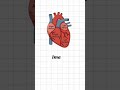 QB Med by Quambase 🔥 | The Ultimate AI Study Assistant for MBBS