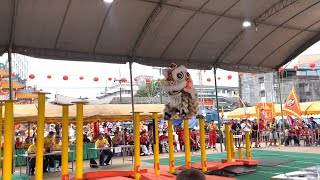 西澳中華會館龍獅圑 W.A Chung Wah Association Lion Dance - Jong High Pole - Su-ngai Kolok, Thailand 2024