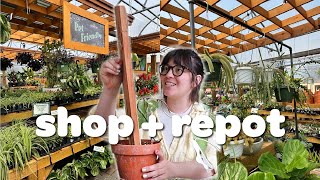plant shopping in new cities + repotting a special new plant!