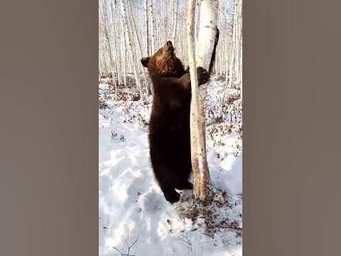 Буржуй, как буржуй. - YouTube