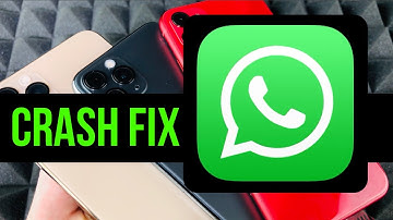 How to Fix WhatsApp that keeps crashing, not working on your iPhone