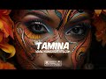 Afrobeat Instrumental 2024 | "TAMINA" | Afrobeat Type Beat