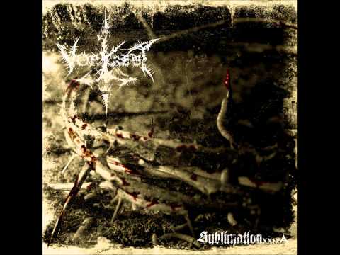 VORKREIST - Sublimation XXIX A [2005]