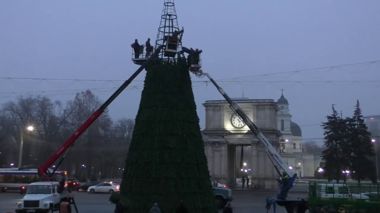 Câteva zile, în câteva minute! Cum a fost instalat Pomul de Crăciun din centrul Capitalei tv8 italia