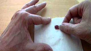 Beading Lesson: Beaded Raspberry on Fabric