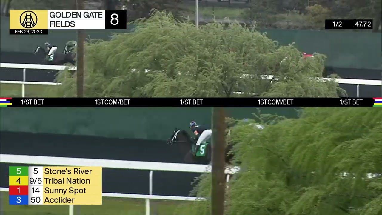 Kodiaction Wins Race 8 on February 26, 2023 at Golden Gate Fields