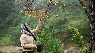 Những Trái Hồng Nhỏ An Đen Hái Vào Dịp Cuối Năm/ Happy New Year