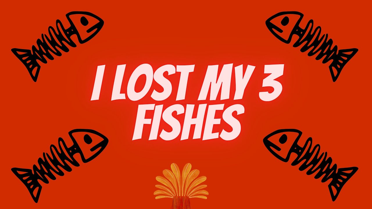 I LOST MY 3 FISH MY PET FISH DIED YouTube