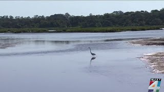 Ponte Vedra Beach conservation land at center of swap proposal