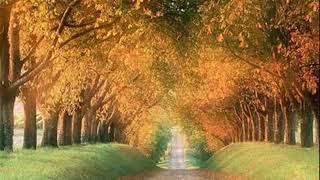 Surah 27 An Naml    Recited By Sheikh Yasin Al Jazairi