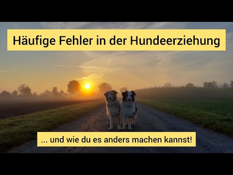 Häufige Fehler in