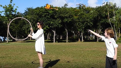 HANVON Go Go Bird Flying Toy,Mini RC Flying Bird Helicopters,Bionic Flying Bird,Mini Drone Tech Toy