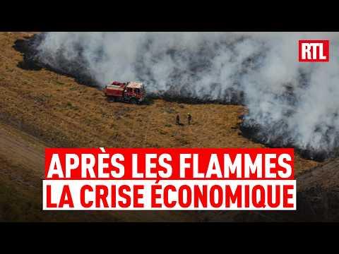 Miniature de la vidéo : 39 000 entreprises impactées, 60 000 salariés concernés : le patron de la CCI Gironde sonne l'alarme