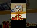 言葉になりません… #shorts