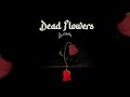 Llona Dead Flowers Official Visualizer Llona Dead Flowers Official Visualizer