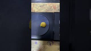 Does Raw Gold Has Weight than refined? #goldcollector #africangold #goldmining #goldvalue #goldhub