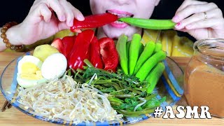 ASMR GADO-GADO INDONESIAN CREAMY SPICY SALAD VEGGIE PLATTER + CREAMY PEANUT SAUCE | 沙拉 咀嚼音 | 먹방